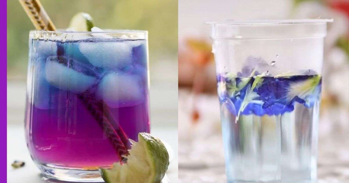 Read more about the article Butterfly Pea Soda