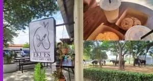 Read more about the article Minum Petang di Ekues Cabin Cafe Sambil Tengok Perlawanan Kuda!