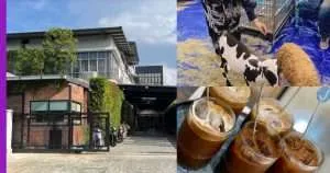 Read more about the article Kafe Baru dengan Mini Zoo Kini di PJ!