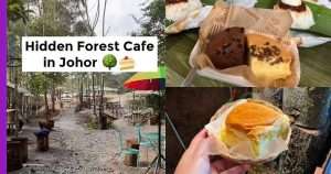 Read more about the article Cafe Kopi Hutan – Menikmati Alam dan Kopi