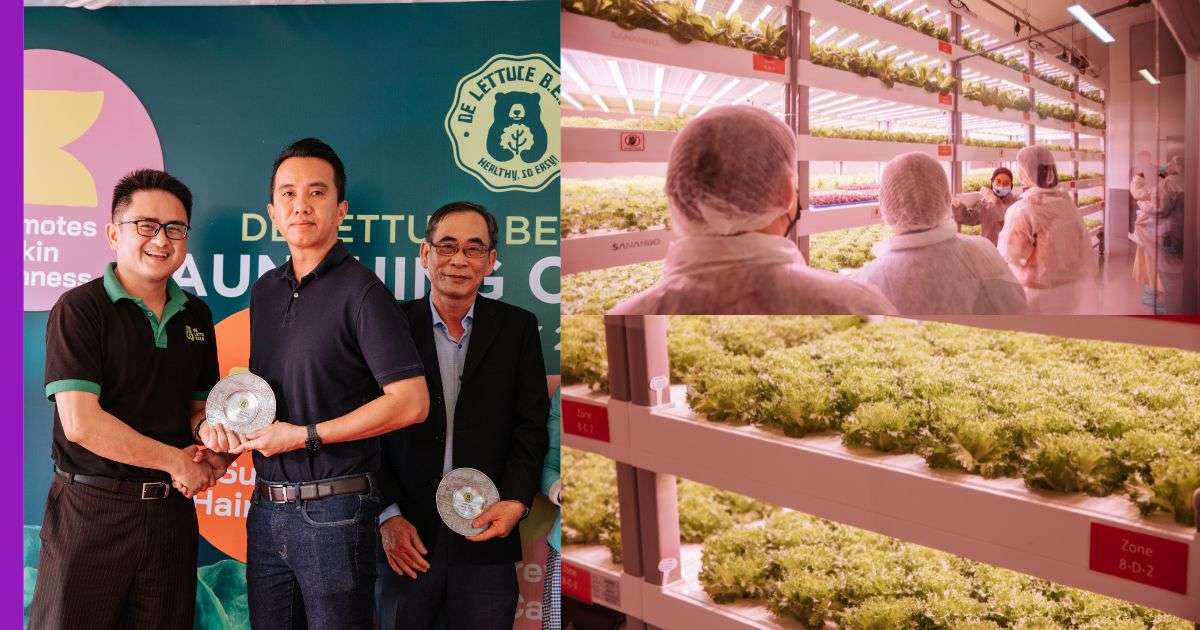 You are currently viewing Sayuran Sihat Baharu Dilancarkan oleh De Lettuce B.E.A.R Menampilkan Salad Diperkaya Selenium Yang Meningkatkan Imuniti – Pertama di Asia Tenggara