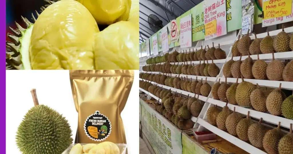 You are currently viewing 8 Tempat Yang Menyajikan Durian Terbaik Di Kuala Lumpur Dan Selangor