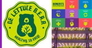 Read more about the article De Lettuce B.E.A.R, Cara Baru Untuk Pertanian oleh Jack Wee