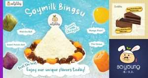 Read more about the article Soyoung Malaysia: Rasai Kenikmatan Soya!
