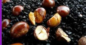 Read more about the article Buah Berangan Goreng: Jajanan Khas Malaysia yang Manis dan Gurih