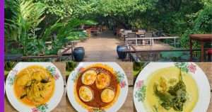 Read more about the article Rumah Makan Jebat: Kafe Yang Di Kelilingi Hutan Hijau Di Langkawi
