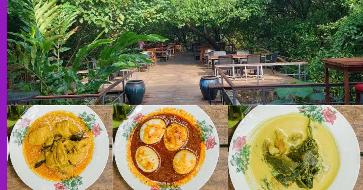 Read more about the article Rumah Makan Jebat: Kafe Yang Di Kelilingi Hutan Hijau Di Langkawi