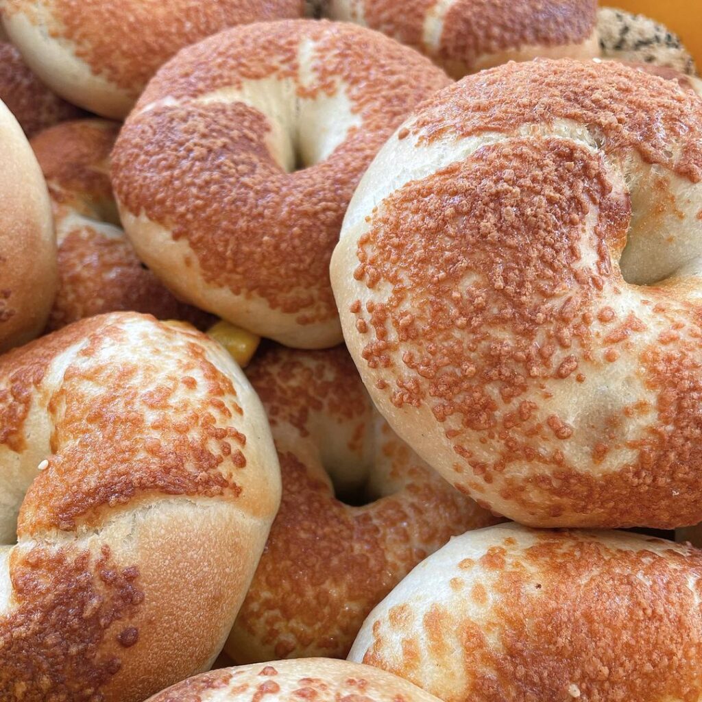 Cheezy Bagel