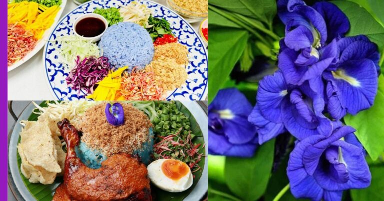 Fakta Menarik Tentang Nasi Kerabu Yang Korang Perlu Tahu! - Purple Durian