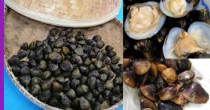 Read more about the article Etok Salai: Makanan Tradisional Kelantan ‘Rare’.