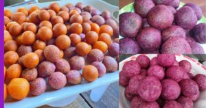 Read more about the article Resepi Bebola Ubi Keledek: Hidangan Minum Petang!!!