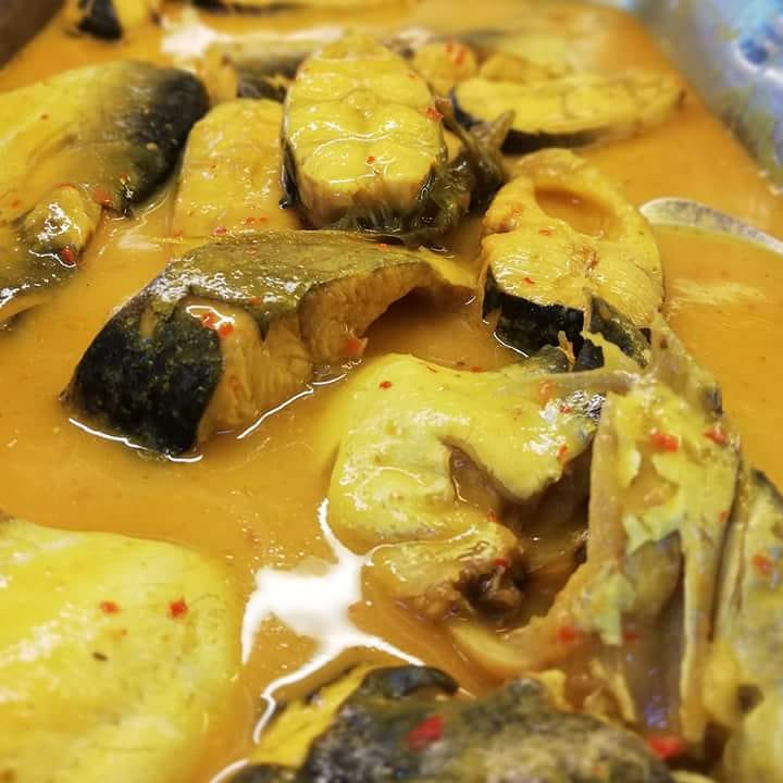 ikan patin