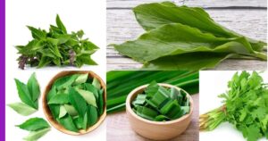 Read more about the article 5 Jenis Daun Aromatik yang Mesti Digunakan dalam Masakan untuk Rasa Lebih Lazat.