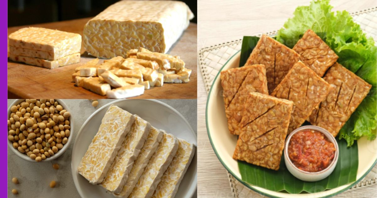 Read more about the article Cara Menyimpan Tempe Supaya Tidak Berbau : Mari Kita Cuba!!!