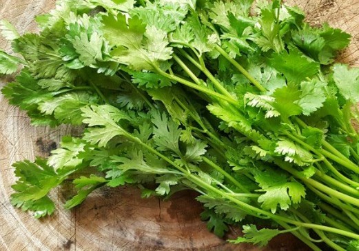 Coriander Leaves