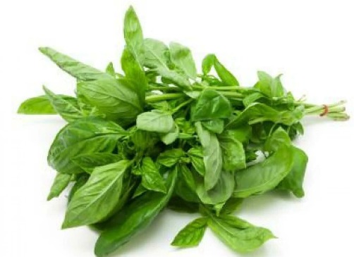  Basil Leaves