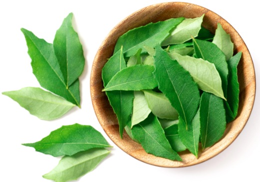 Curry Leaves