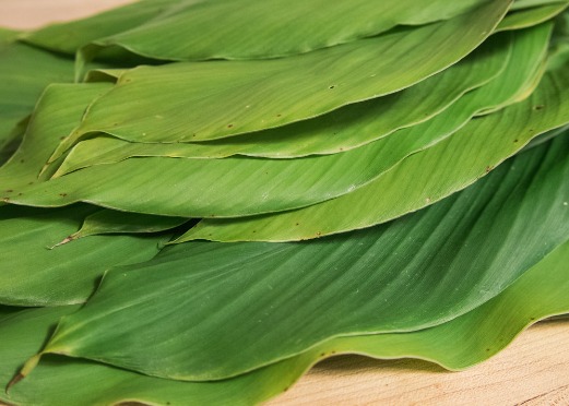 Turmeric Leaves