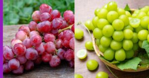 Read more about the article Anggur Hijau vs. Anggur Merah: Mana Lebih Baik?