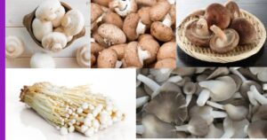 Read more about the article Mengenal Cendawan: 5 Jenis Cendawan Terbaik untuk Hidangan Anda